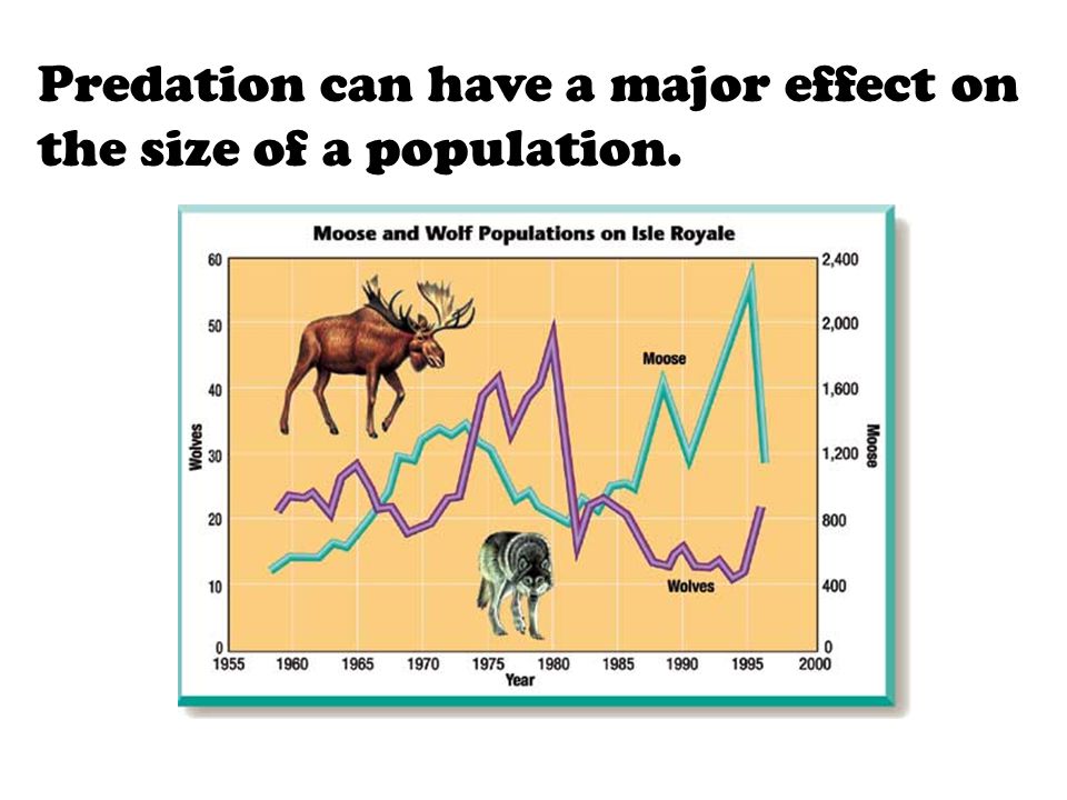 Predation can have a major effect on the size of a population.