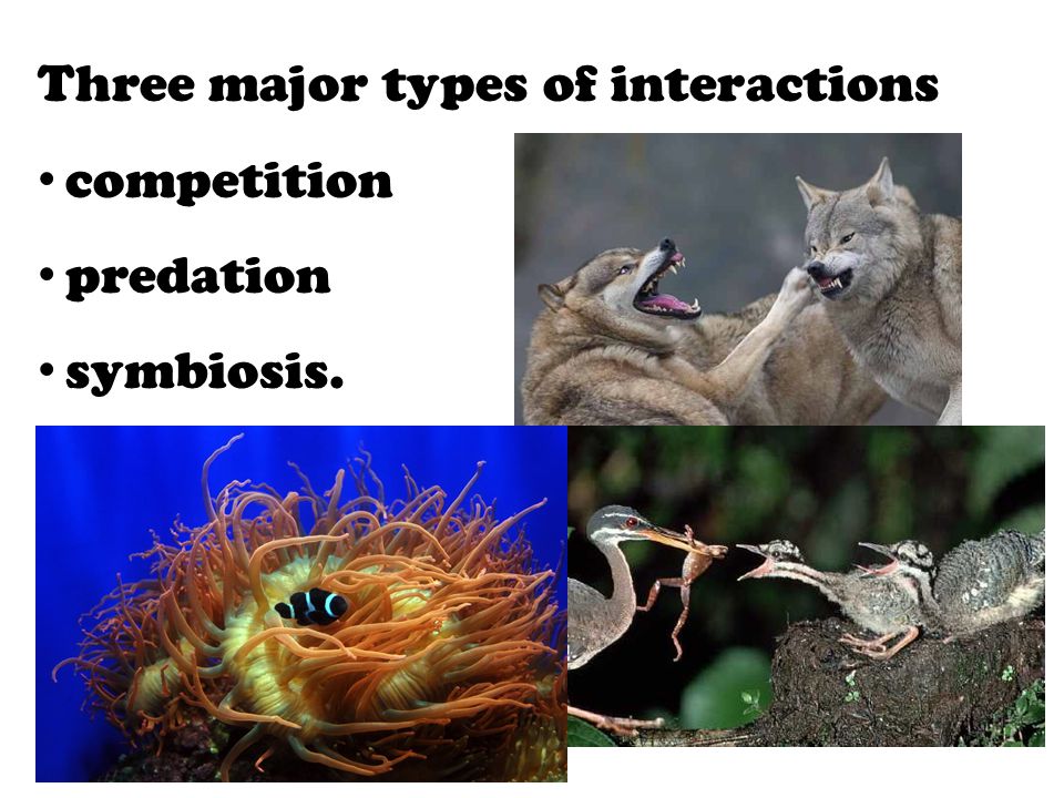 Three major types of interactions