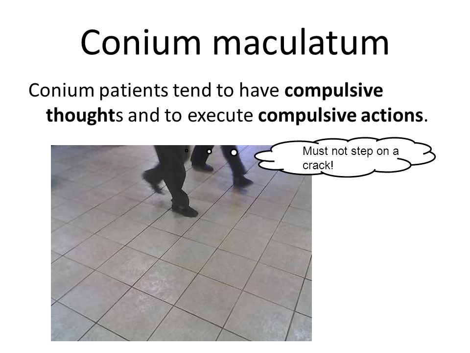 Conium maculatum Conium patients tend to have compulsive thoughts and to execute compulsive actions.
