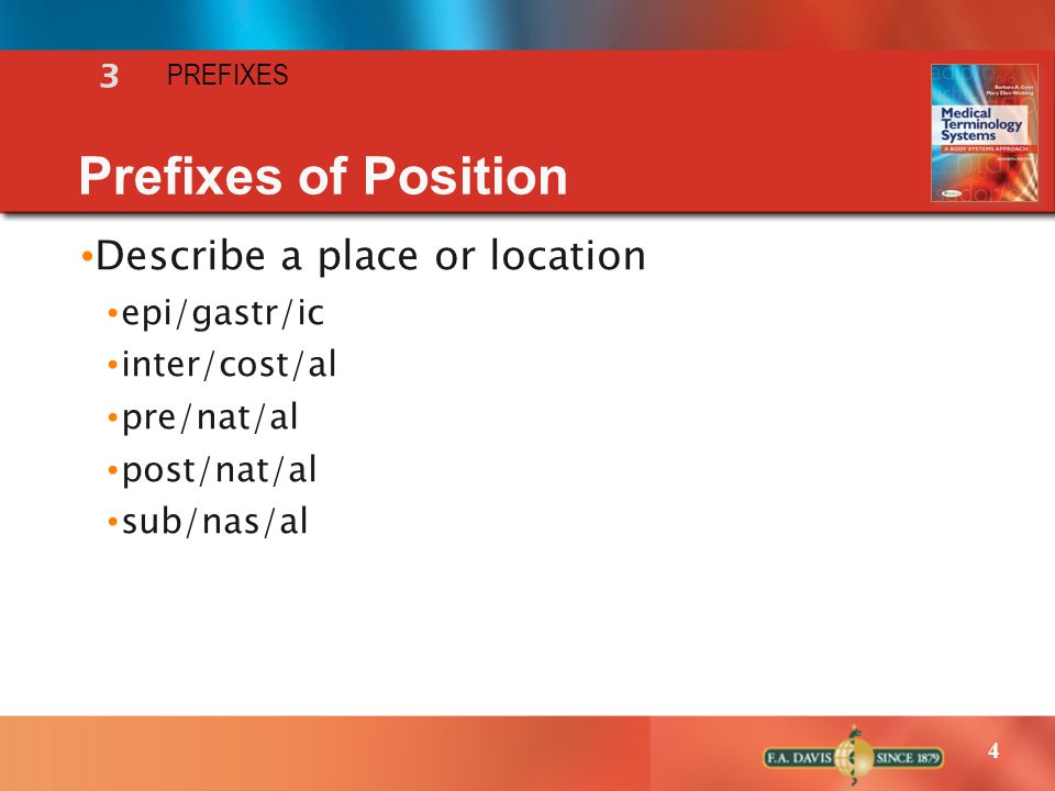3 Lecture Notes A Powerpoint Presentation Prefixes Ppt Video Online Download