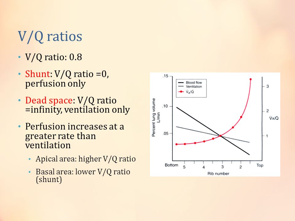 Respiratory Physiology During Anesthesia Ppt Video Online Download