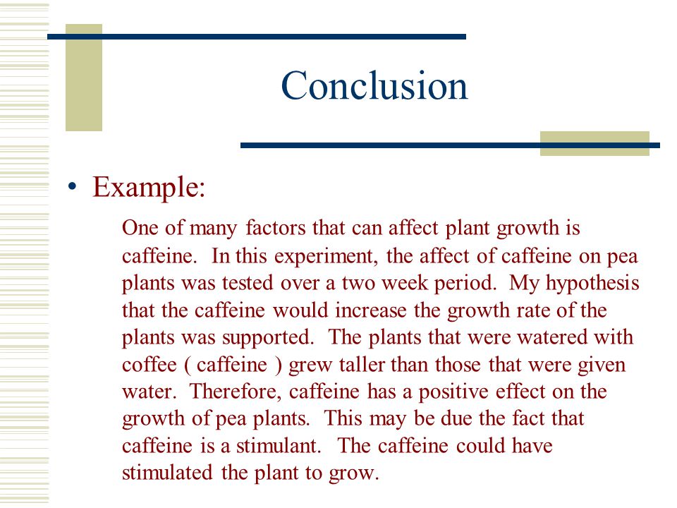 Conclusion Example: