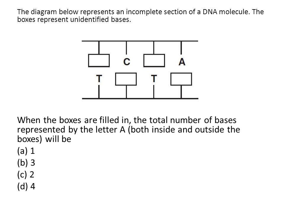 Keystones Prep Warm-Ups - ppt video online download