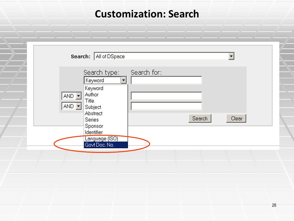 Customization: Search