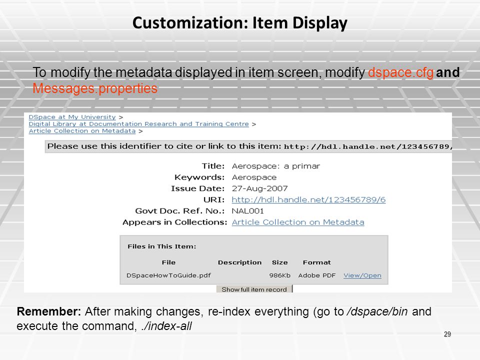 Customization: Item Display