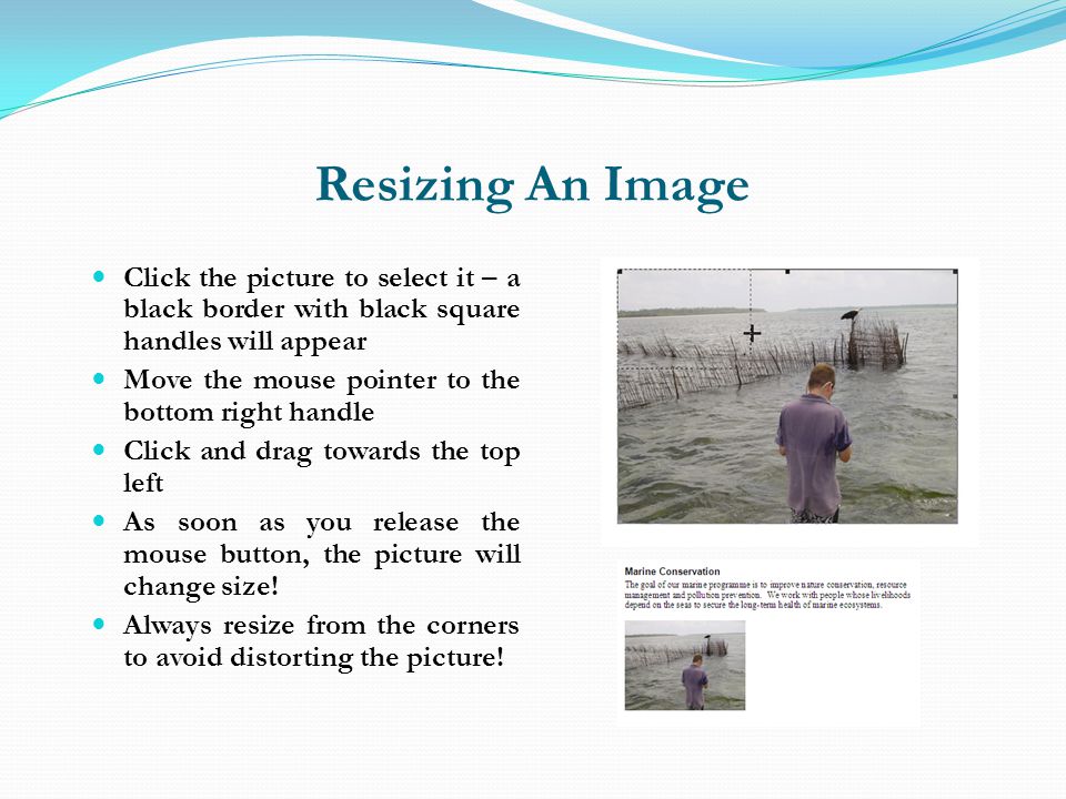 Resizing An Image Click the picture to select it – a black border with black square handles will appear.
