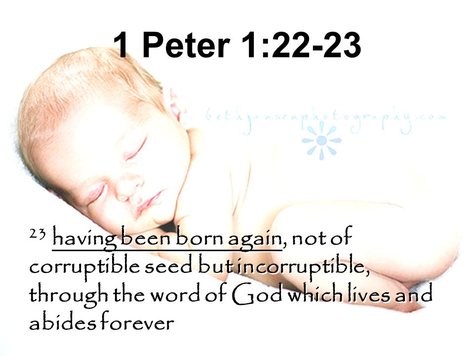 1 Peter 1: having been born again, not of corruptible seed but incorruptible, through the word of God which lives and abides forever.