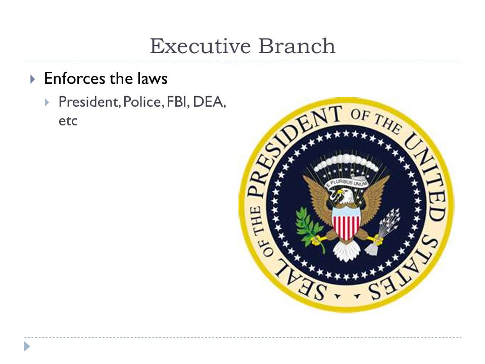 Executive Branch Enforces the laws President, Police, FBI, DEA, etc