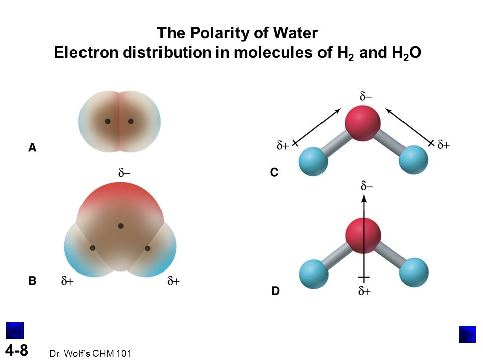 The Polarity of Water Electron distribution in molecules of H2 and H2O.