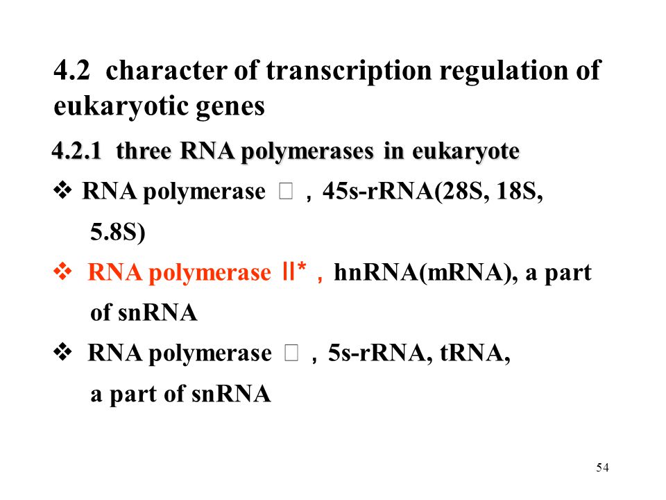 4.2 character of transcription regulation of eukaryotic genes