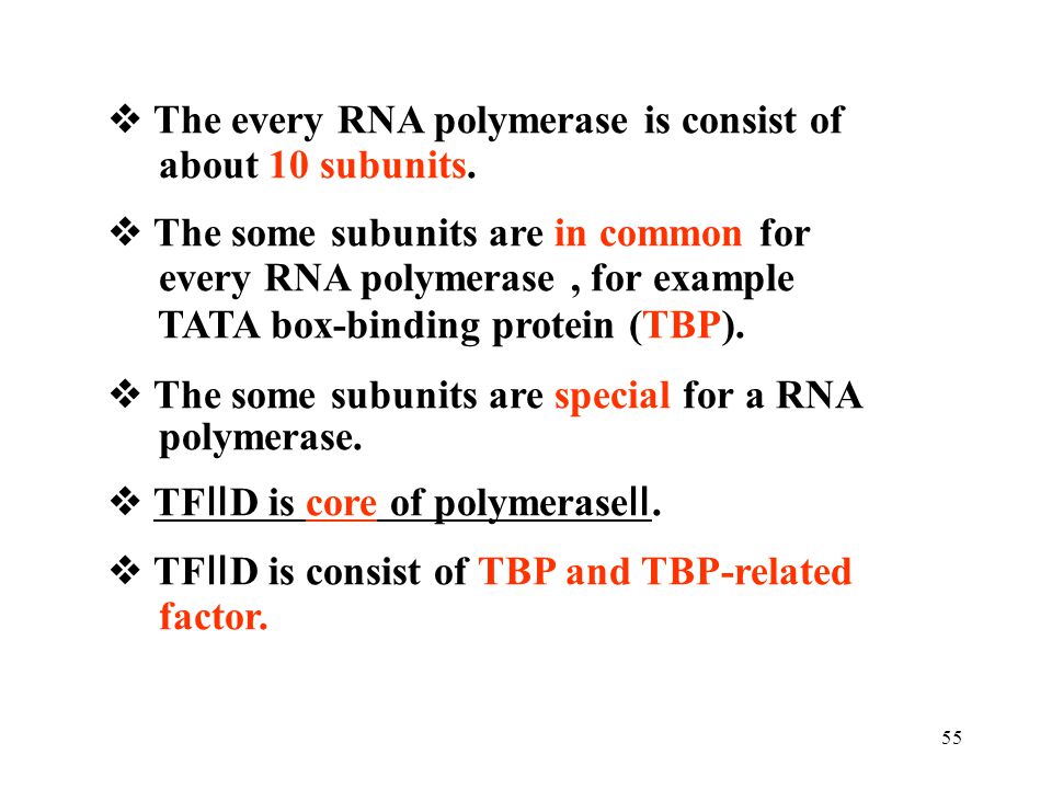 The every RNA polymerase is consist of