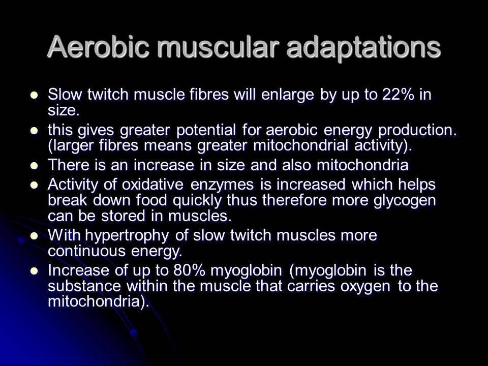 Aerobic muscular adaptations