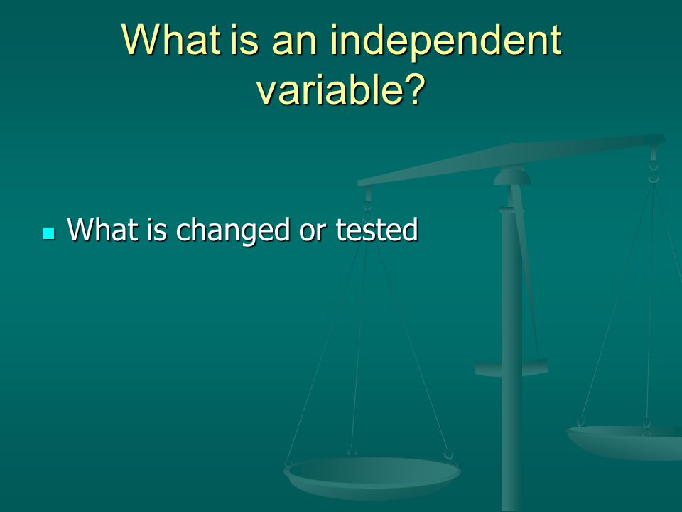 What is an independent variable