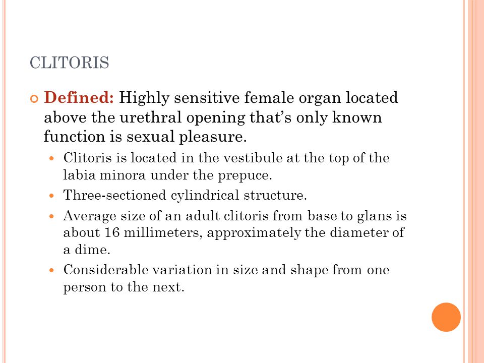 clitoris Defined: Highly sensitive female organ located above the urethral opening that’s only known function is sexual pleasure.