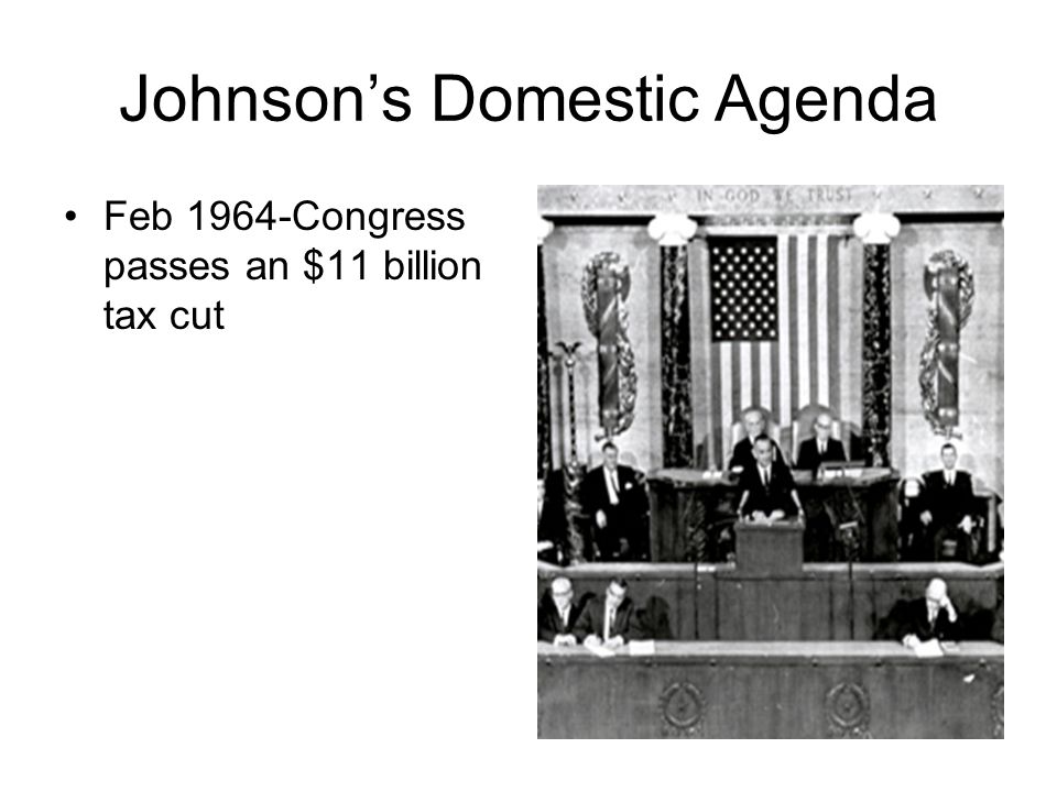 Johnson’s Domestic Agenda