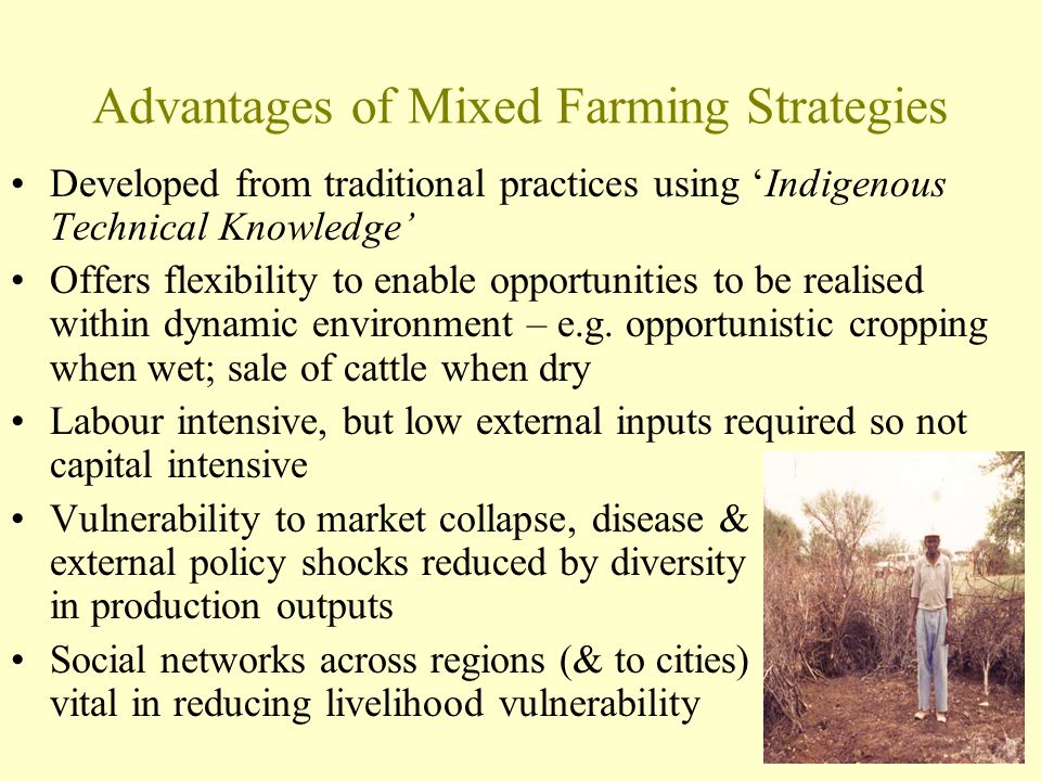 Advantages of Mixed Farming Strategies
