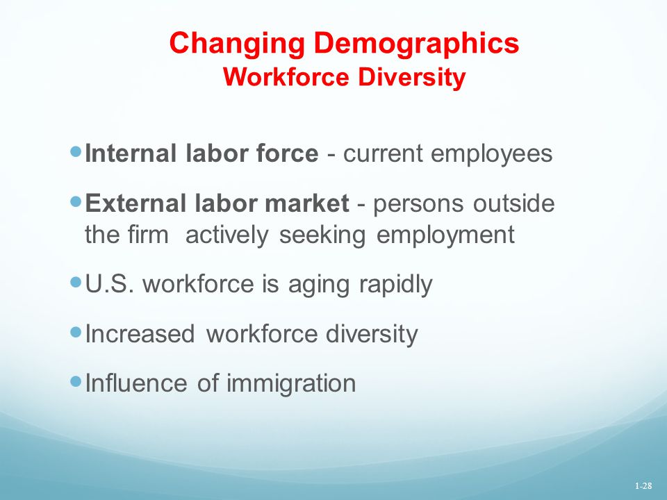 Changing Demographics Workforce Diversity