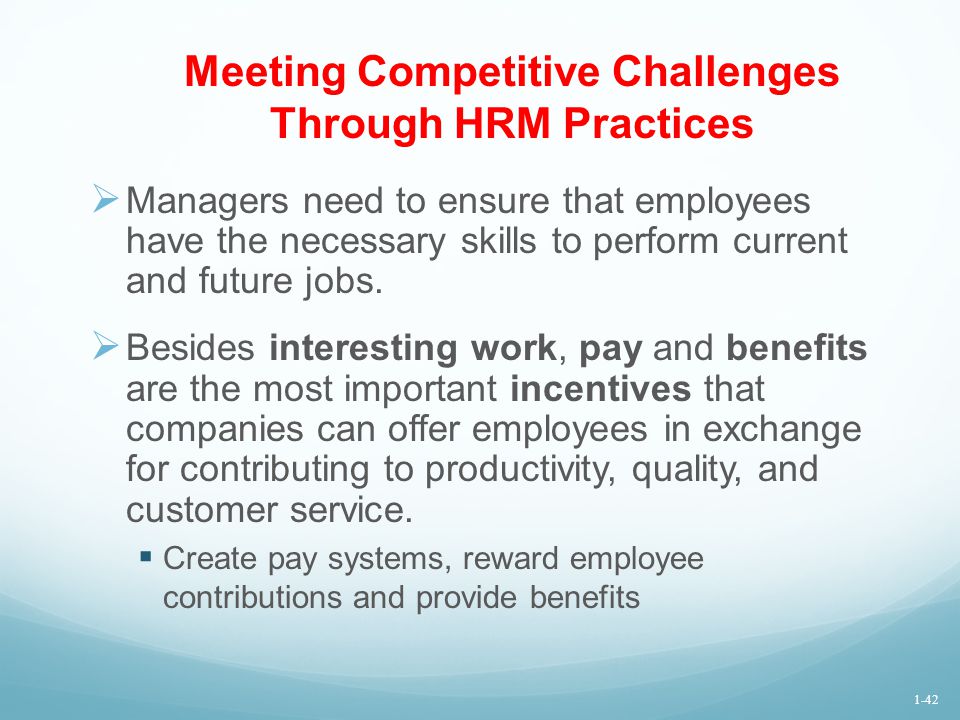 Meeting Competitive Challenges Through HRM Practices