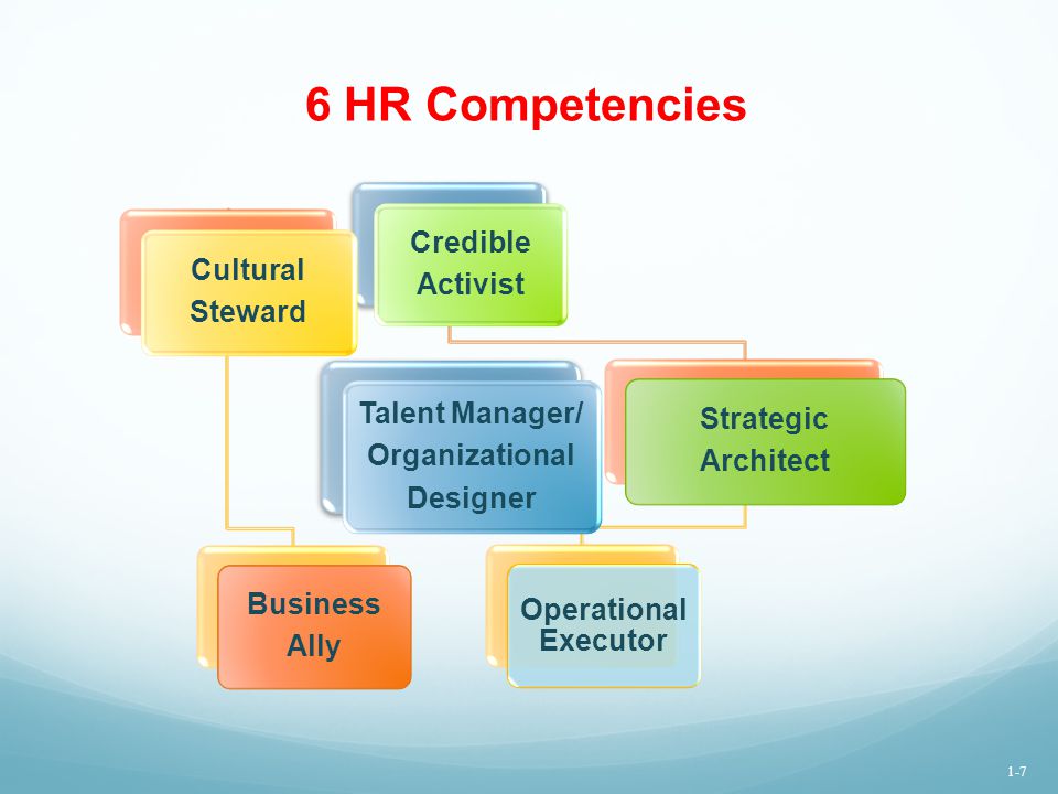 6 HR Competencies Credible Activist Cultural Steward Talent Manager/