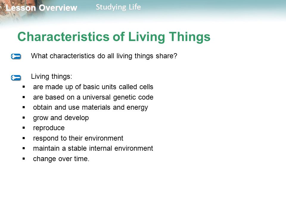 Lesson Overview 1 3 Studying Life Ppt Video Online Download Lesson Overview 1 3 Studying Life Ppt Video Online Download