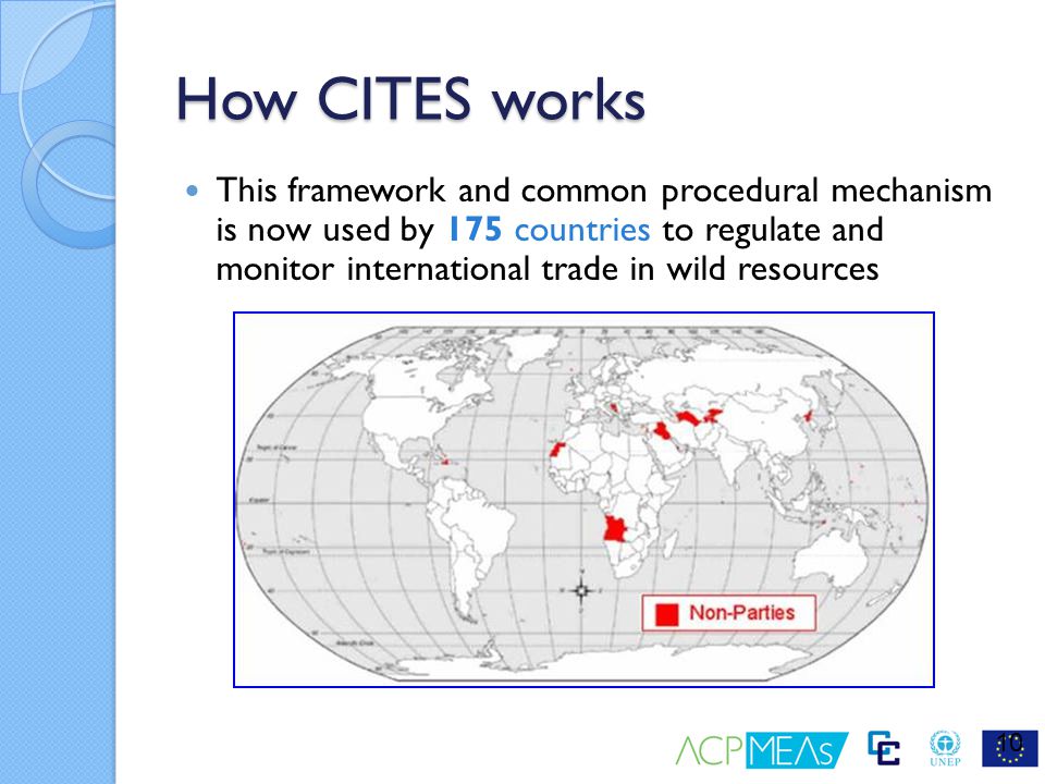 How CITES works