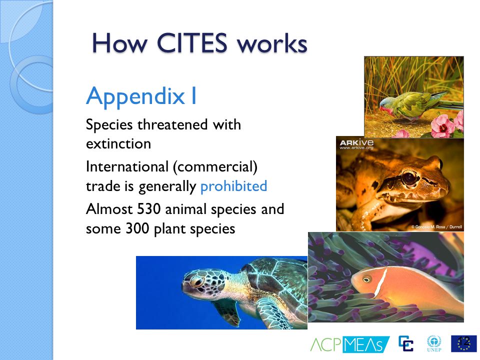 How CITES works Appendix I Species threatened with extinction