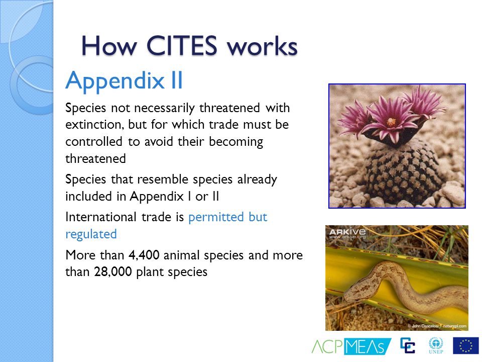How CITES works Appendix II