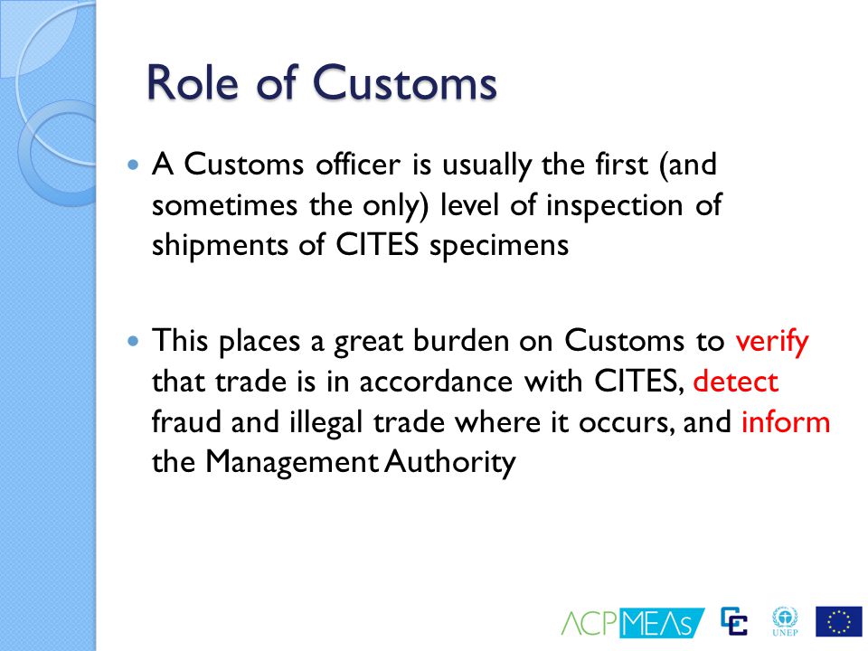 Role of Customs A Customs officer is usually the first (and sometimes the only) level of inspection of shipments of CITES specimens.