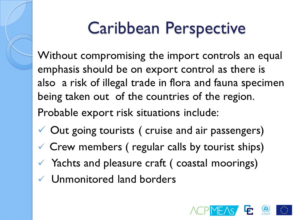 Caribbean Perspective