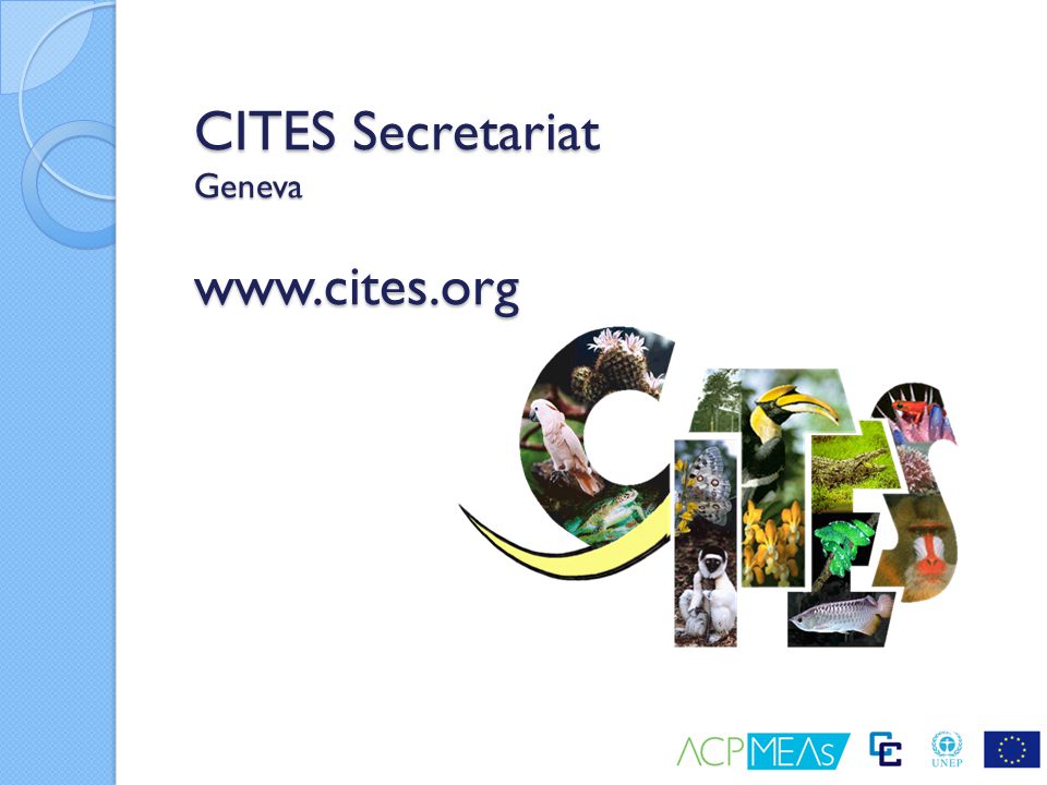 CITES Secretariat Geneva