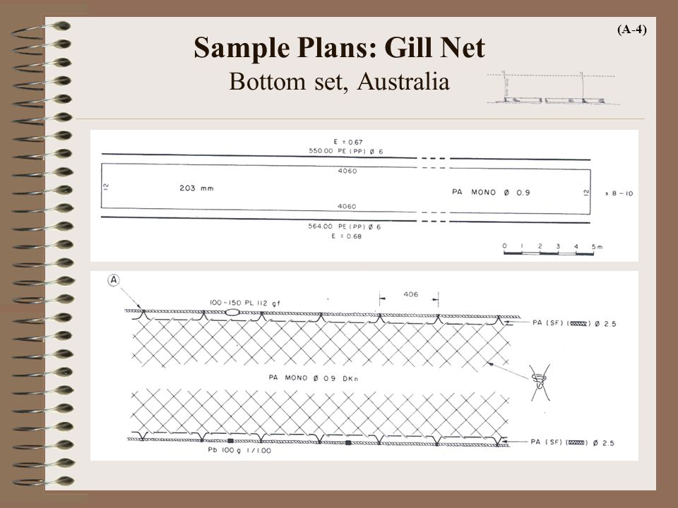 MSC 134 Fishing Gear Technology II Gill Nets: Concepts and Design