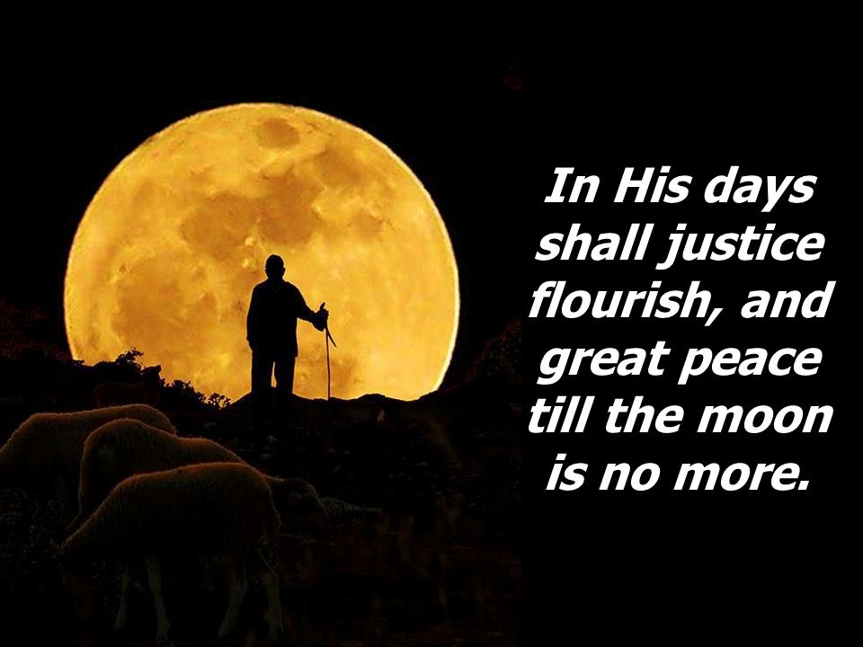 In His days shall justice flourish, and great peace till the moon is no more.