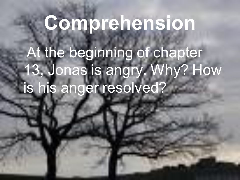 Comprehension At the beginning of chapter 13, Jonas is angry. Why How is his anger resolved