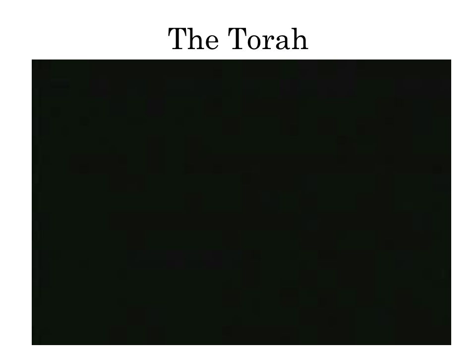 The Torah