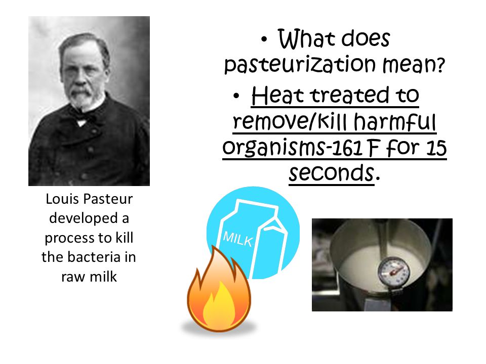 What does pasteurization mean