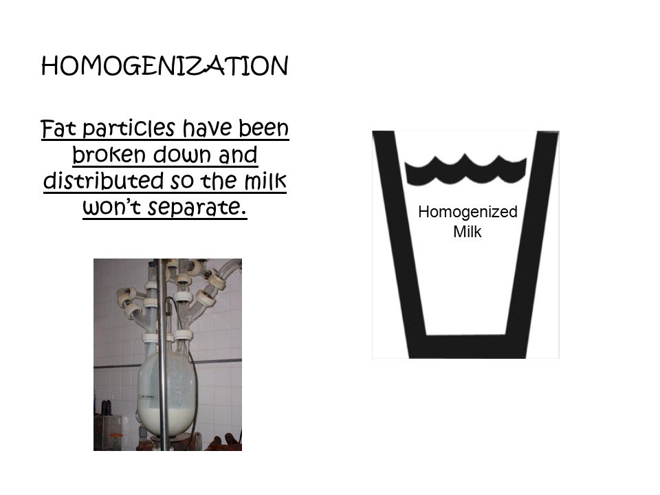 HOMOGENIZATION Fat particles have been broken down and distributed so the milk won’t separate.