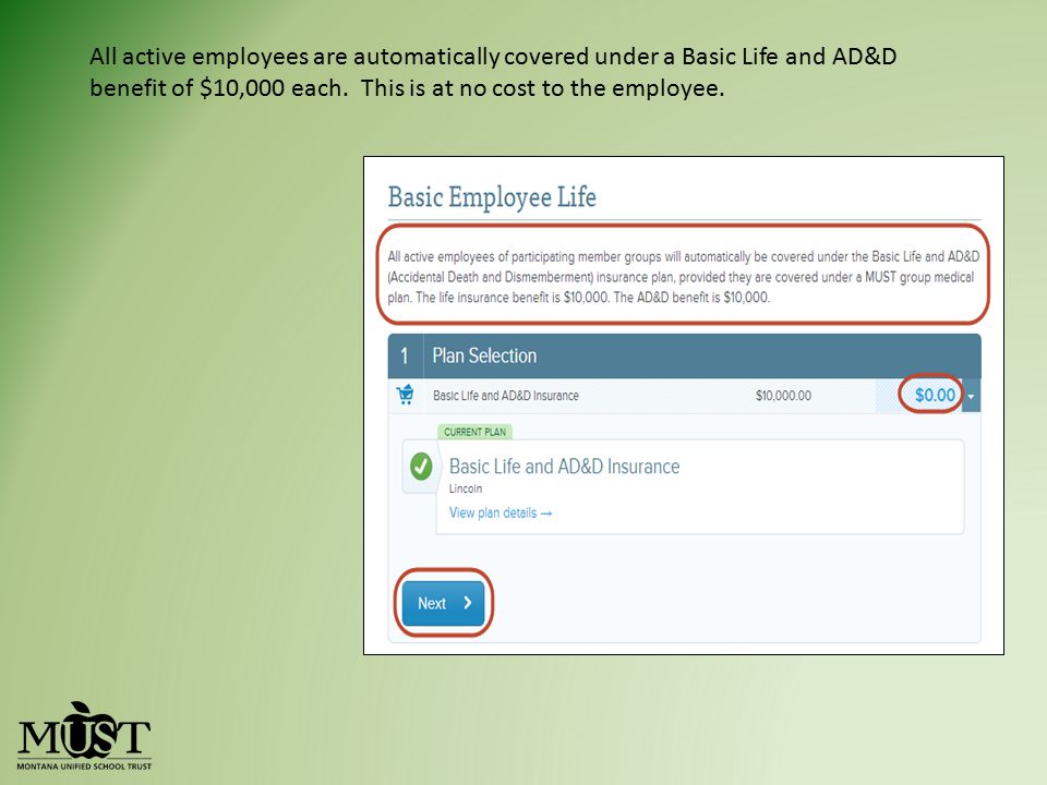 All active employees are automatically covered under a Basic Life and AD&D benefit of $10,000 each.