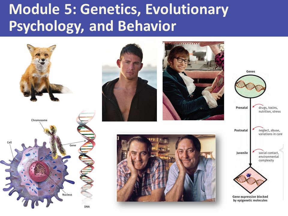 Module 5: Genetics, Evolutionary Psychology, and Behavior