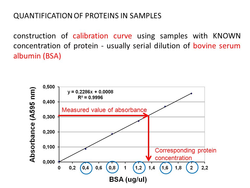 Michael Jelinek Methods For Studying Of Proteins I Michael Jelinek Ppt Video Online Download
