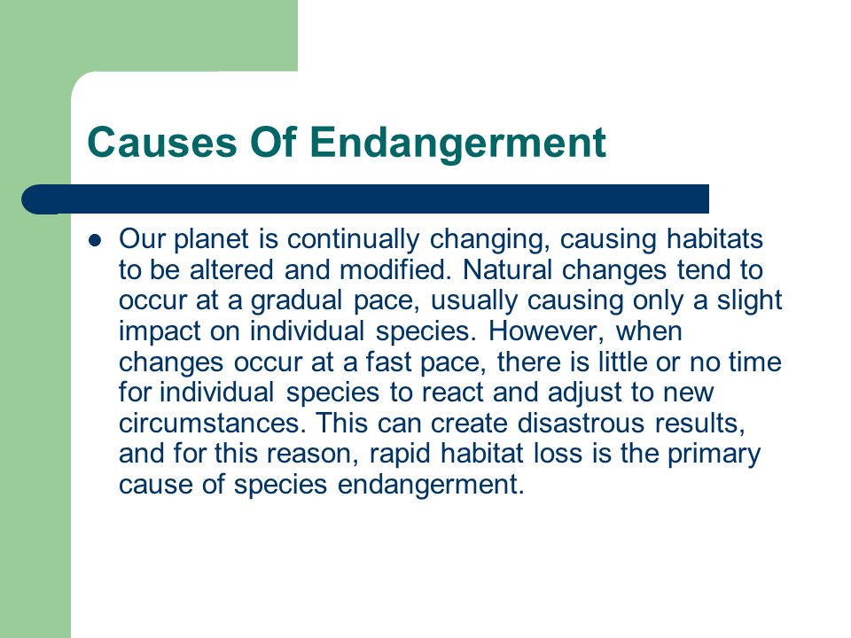 Endangered Animals. - ppt download