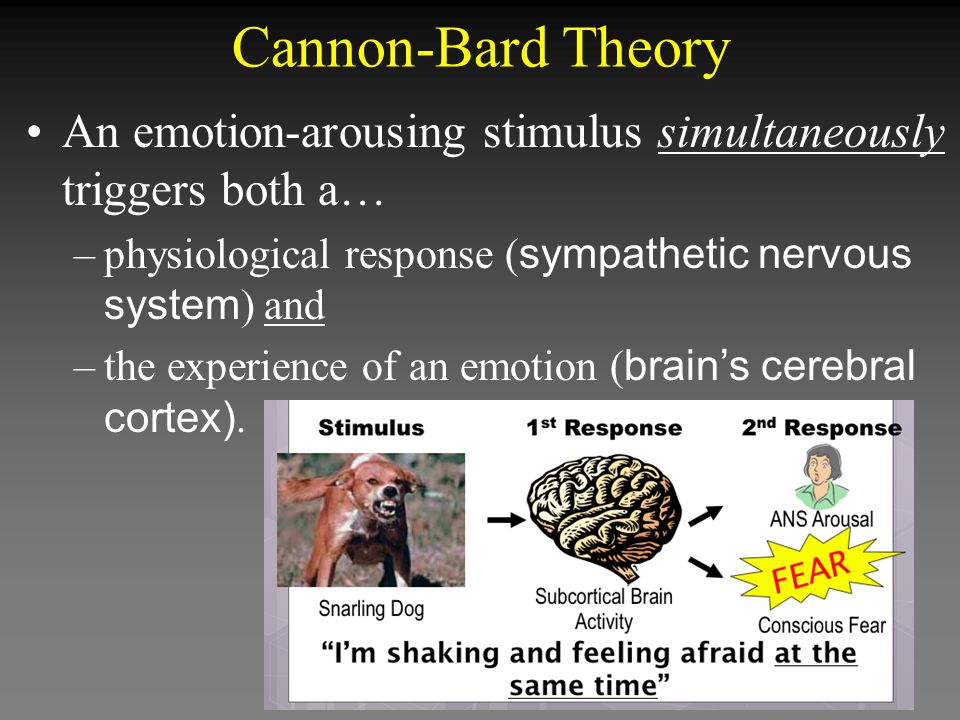 cannon bard theory of emotion psychology