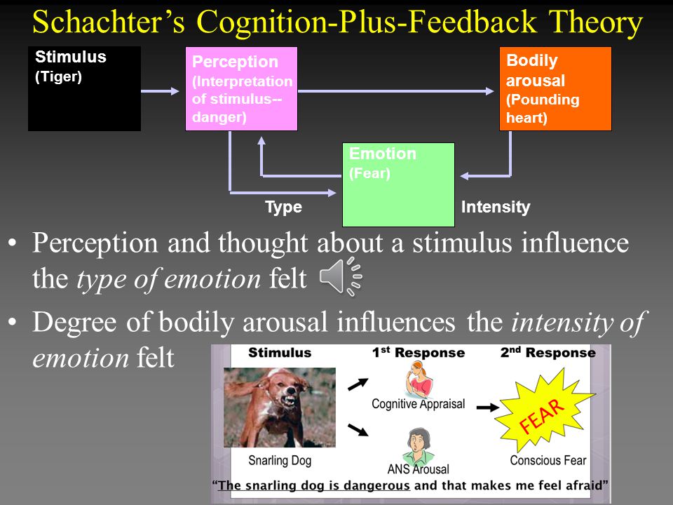 Cognitive Appraisal Theory Of Emotion Flow Chart
