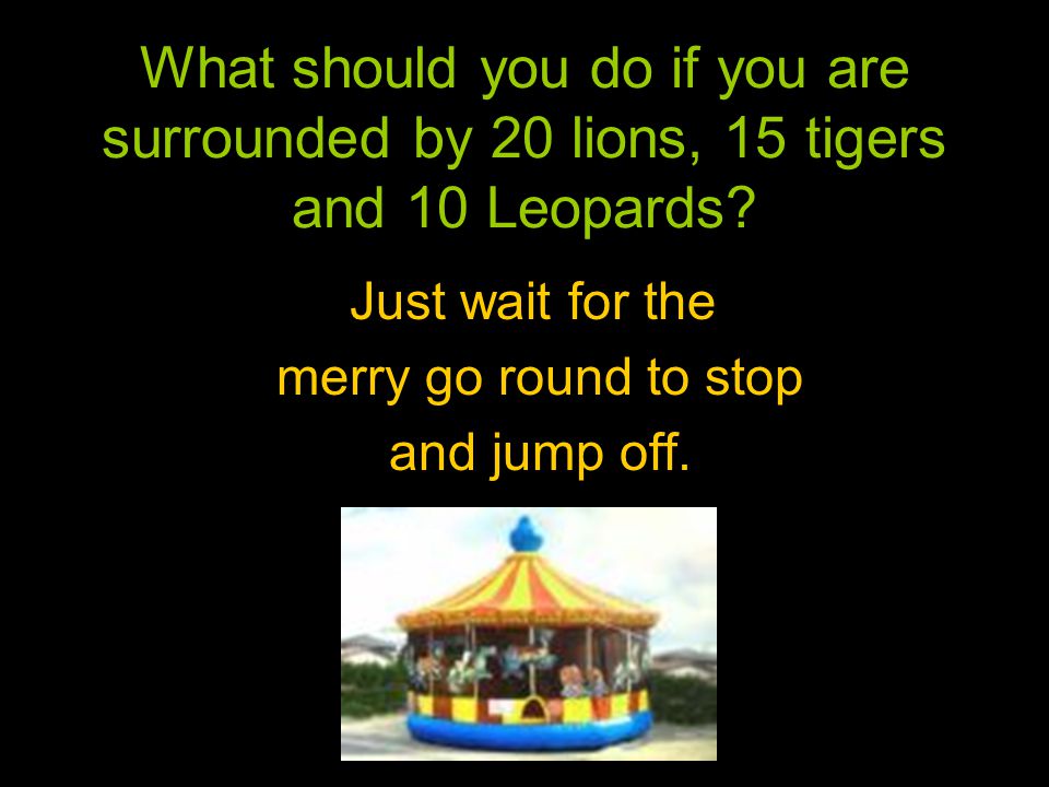 What Should You Do If You Are Surrounded By 20 Lions 15 Tigers