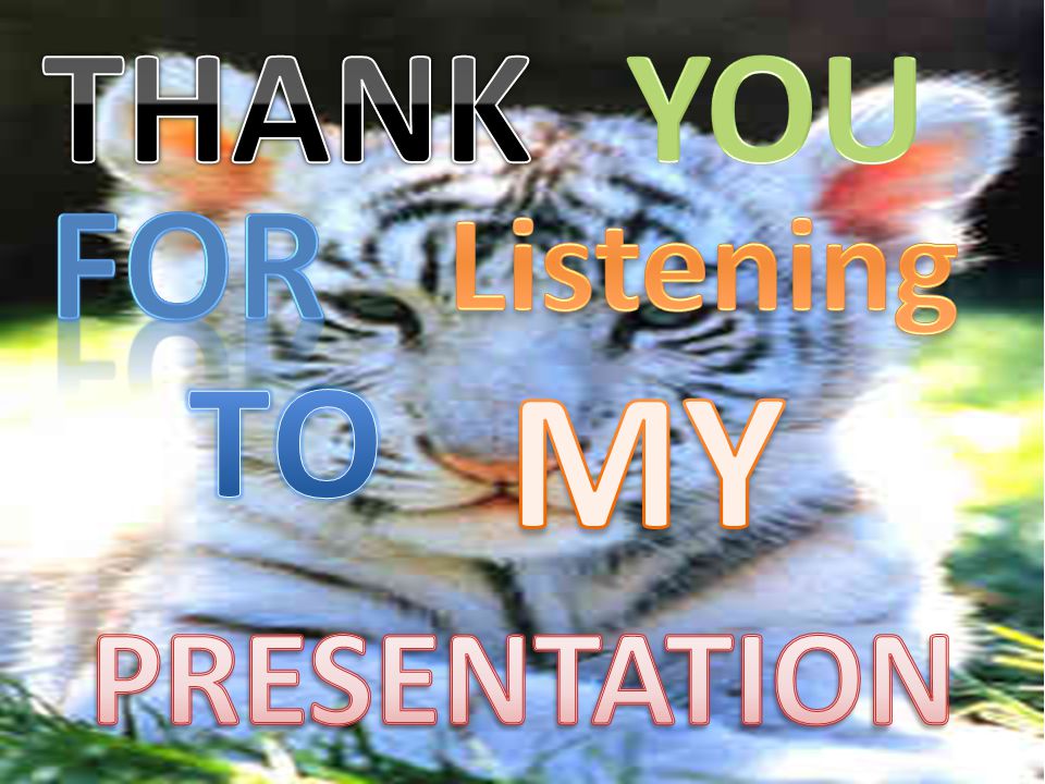 THANK YOU FOR Listening TO MY PRESENTATION