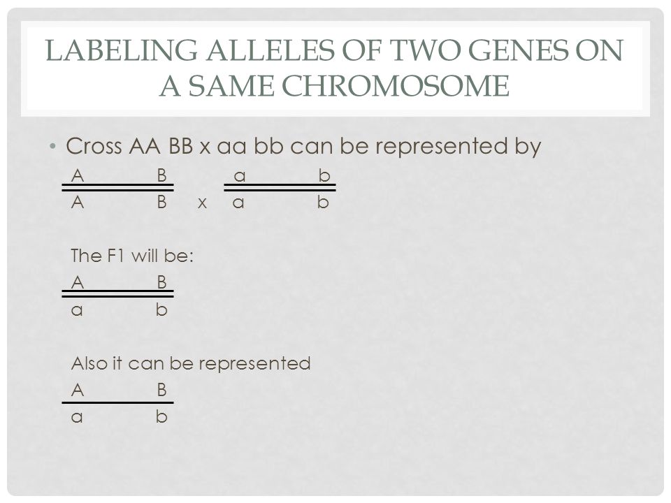 Labeling alleles of two genes on a same chromosome