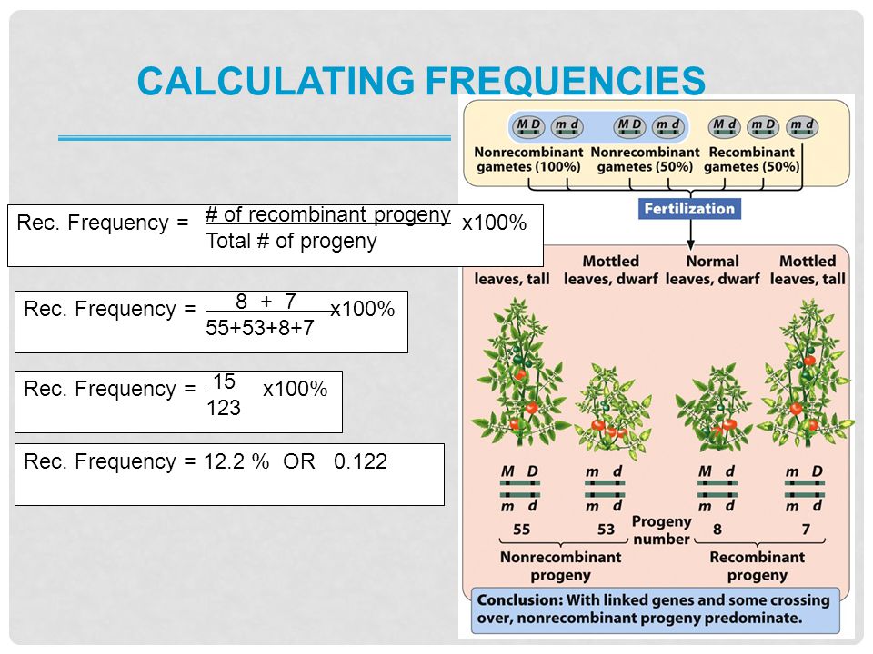Calculating frequencies