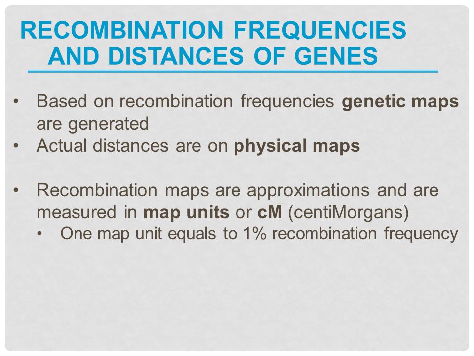 Recombination frequencies and distances of genes