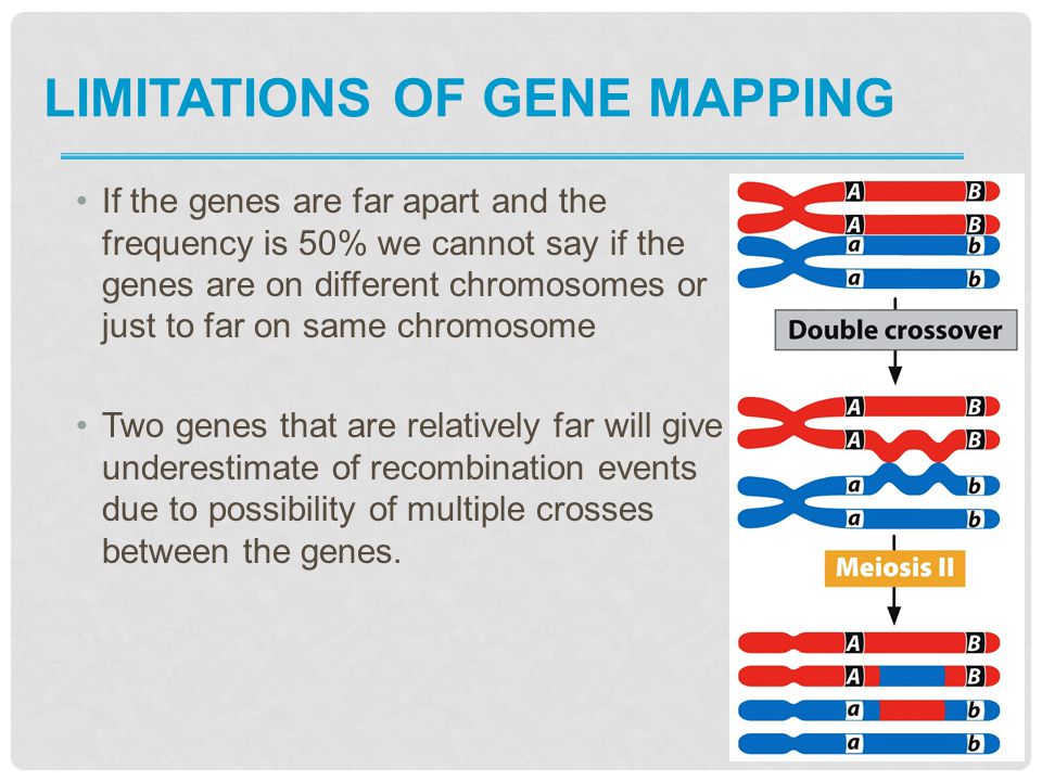 Limitations of gene mapping
