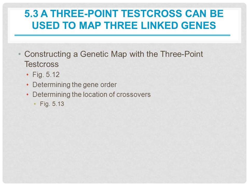 5.3 A Three-Point Testcross Can Be Used to Map Three Linked Genes