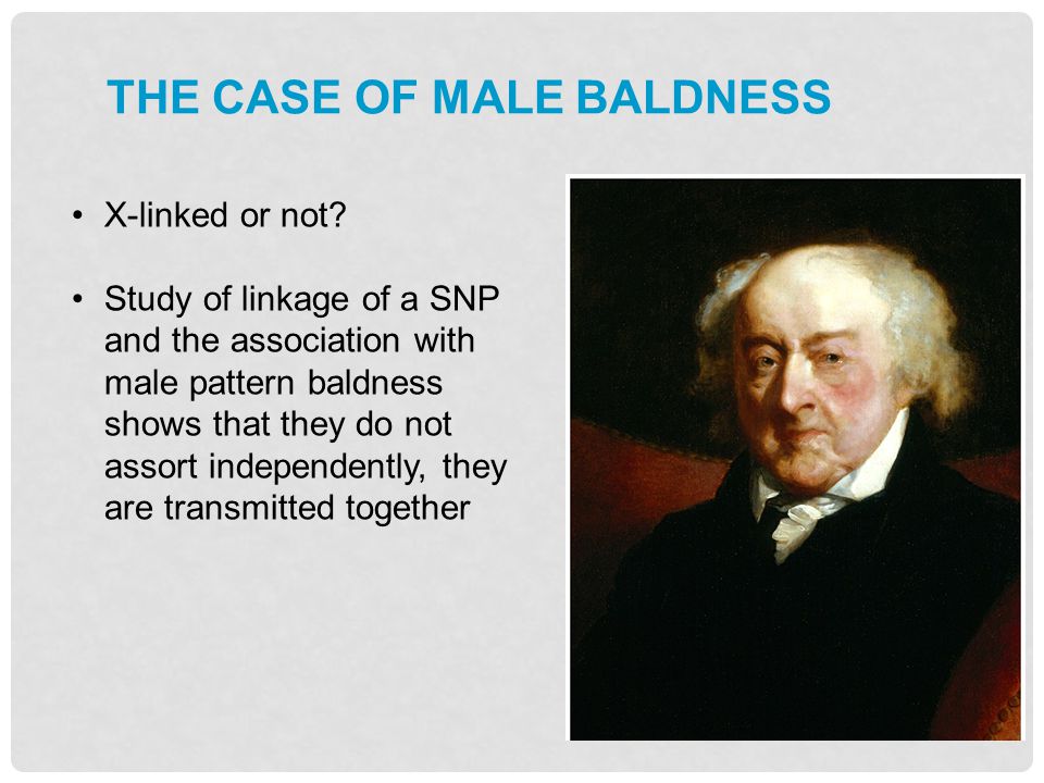 The case of male baldness